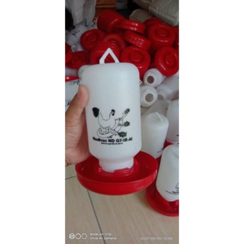 Tempat minum ayam 1 liter(sipon 1 liter)