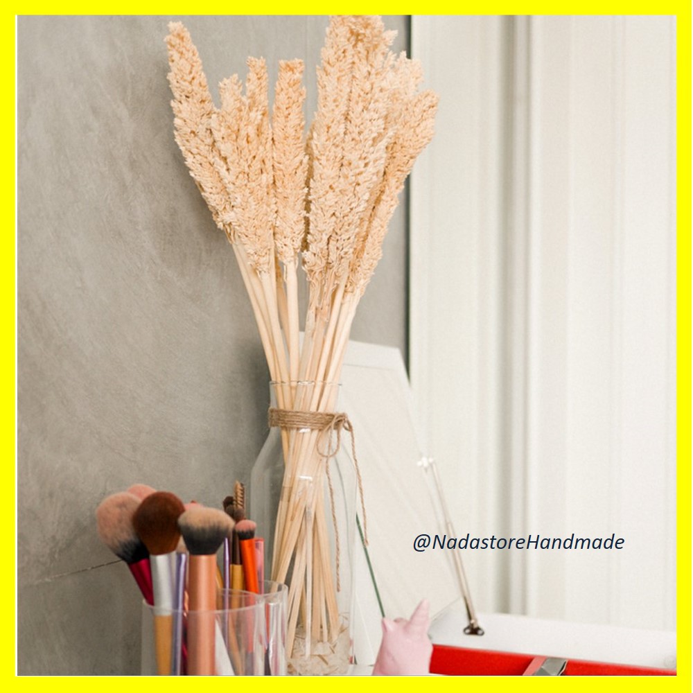 BUNGA KERING CANTEL / RUSTIC DRIED FLOWER PER IKAT 3-4 TANGKAI