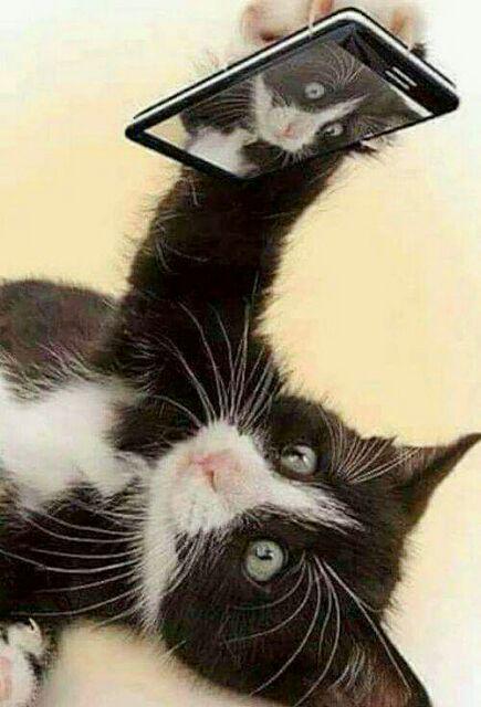 Asifa Batik Hrb026 Atasan Batik Wanita Motif Mega Mendung