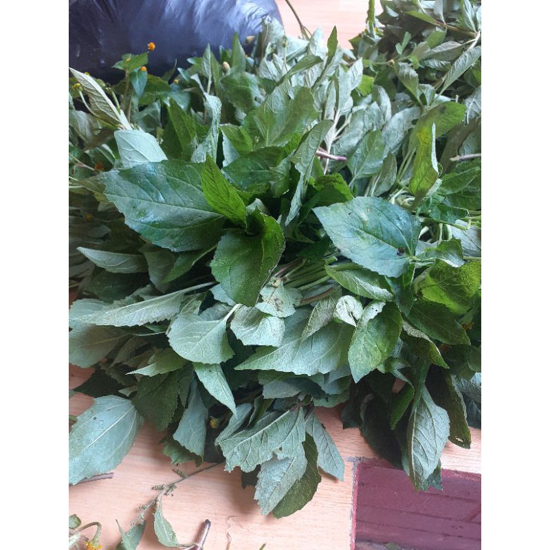 

Jotang segar fresh 1kg