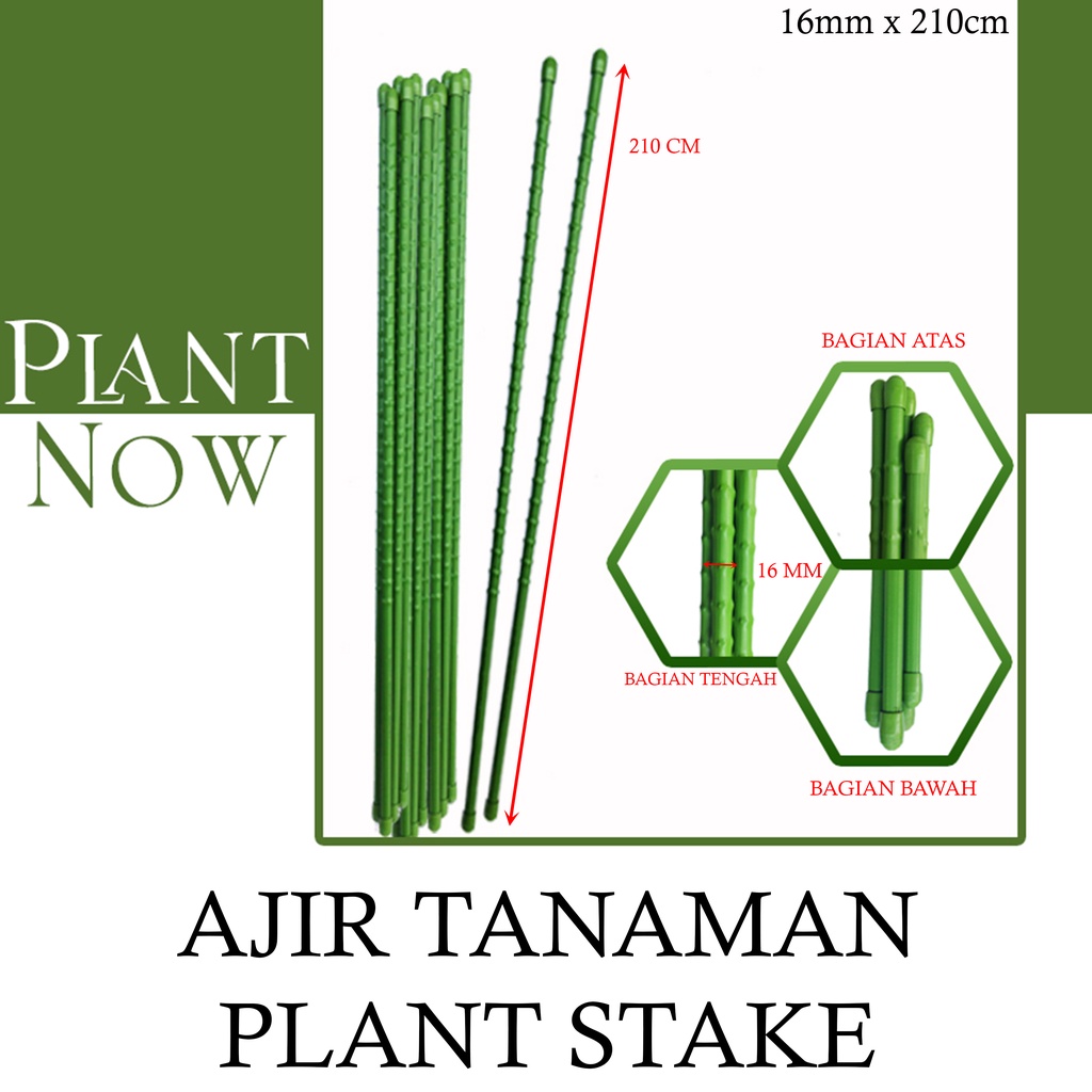 Ajir Modern Tanaman - Plant Stake - 16mm x 210cm