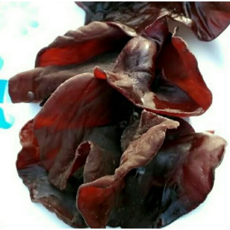 

JAMUR KUPING / LEMBER 250 GRAM