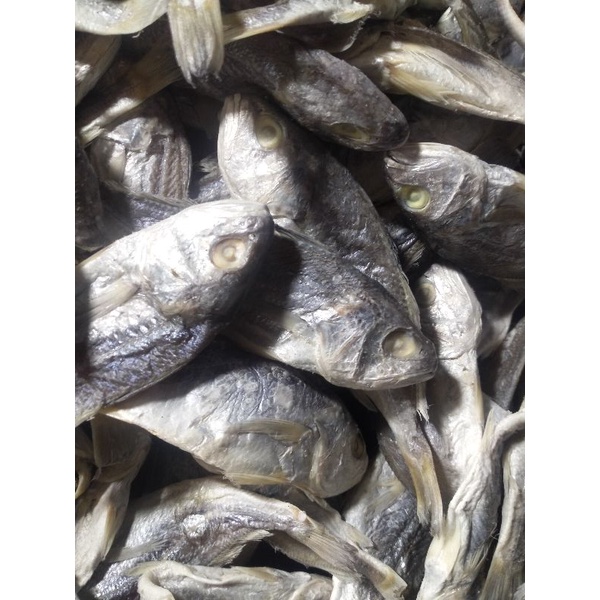 

Ikan Asin Kepala Batu