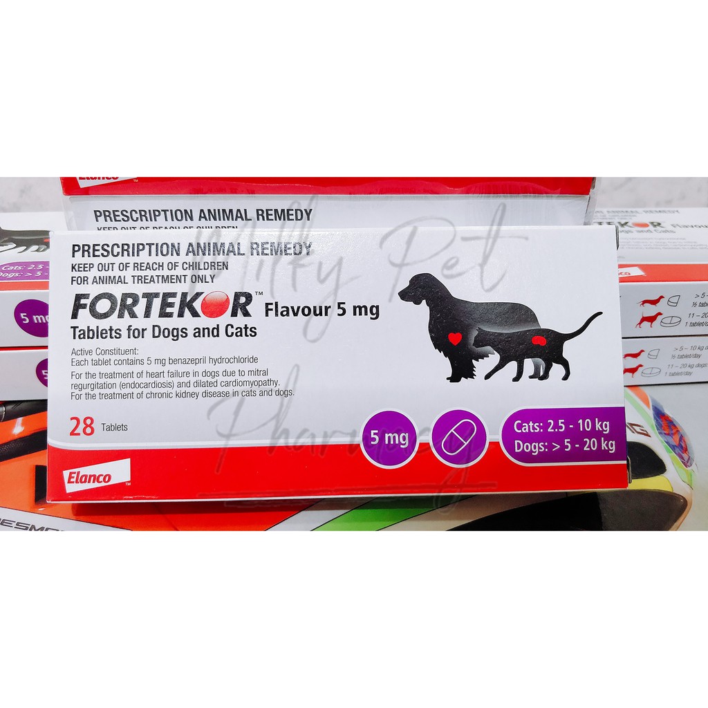 What Is Fortekor 5Mg? , Fortekor Flavour tablets for cats and dogs (GB ...