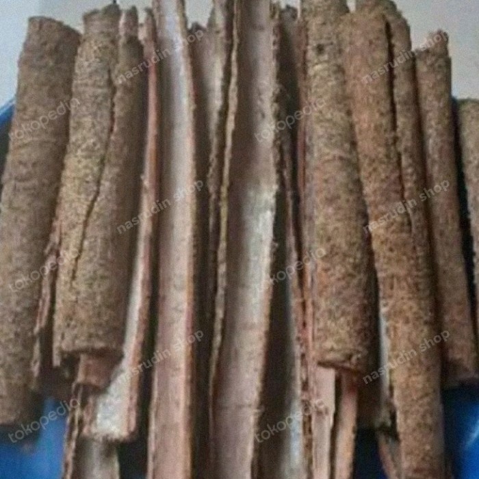 

New KULIT POHON JENGKOL SEGAR HERBAL DIABETES - 250 gram