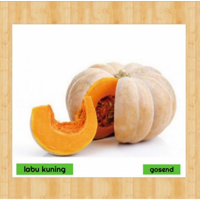 

labu kuning besar
