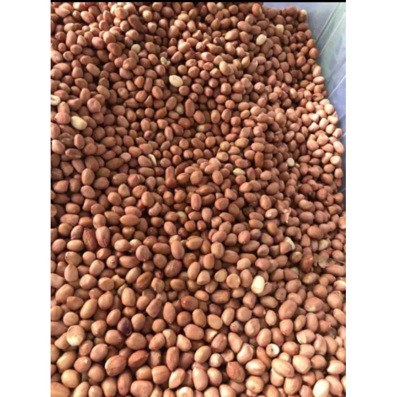 

kacang tanah/kacang mentah