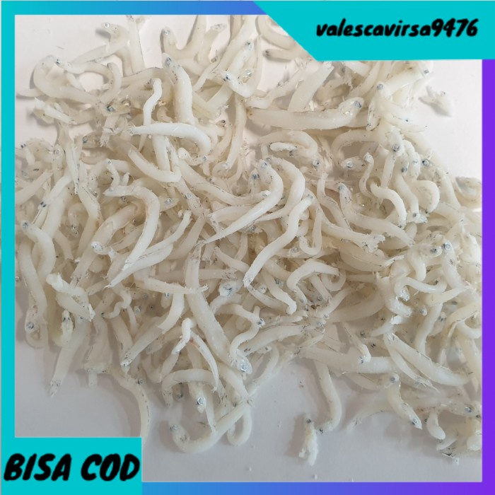

⭐BISA COD⭐ Ikan Teri Medan kualitas super