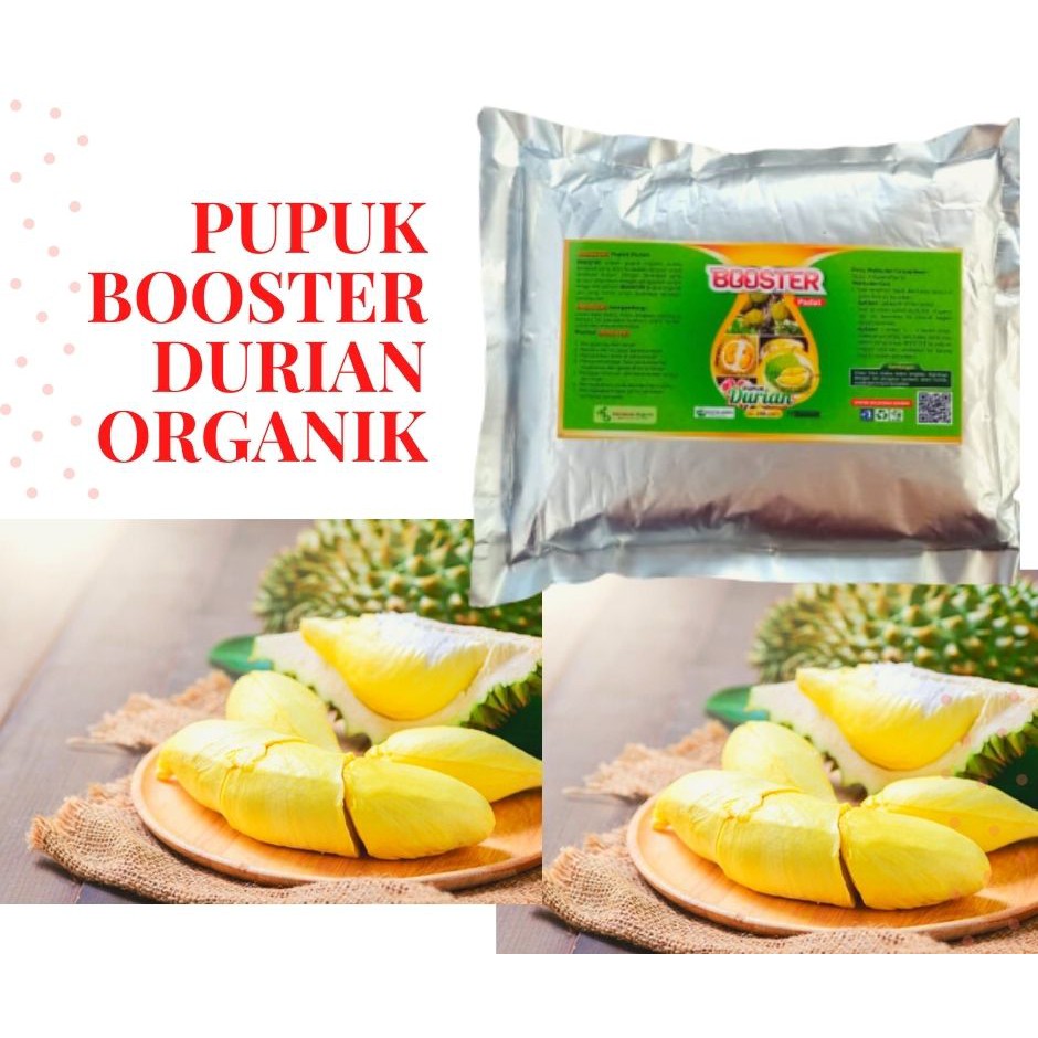 Pupuk Durian Cepat Berbuah, Pupuk Booster Durian Montong Musang king