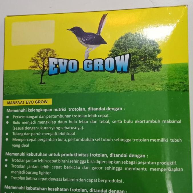 Voer Evolution Evo Grow Pakan Trotolan Murai Batu
