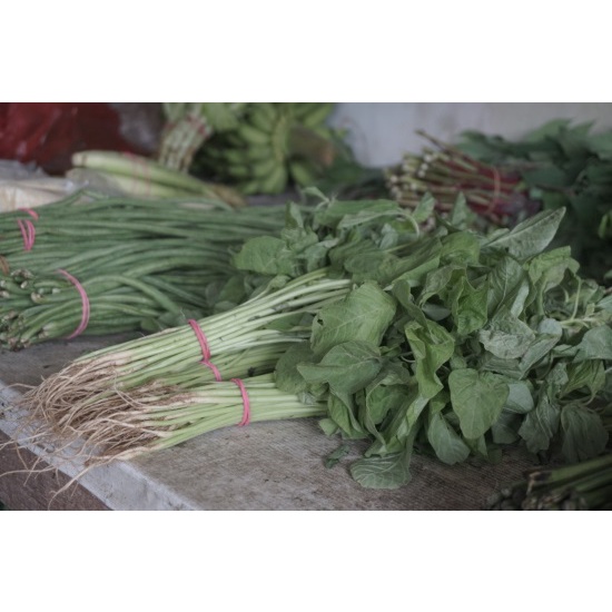 

Sayur Bayam Segar Tidak Ada Merek