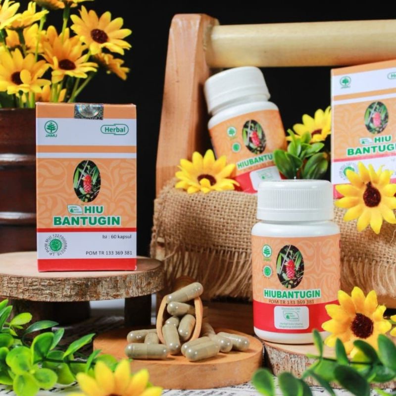 

BANTUGIN OBAT HERBAL BATU GINJAL