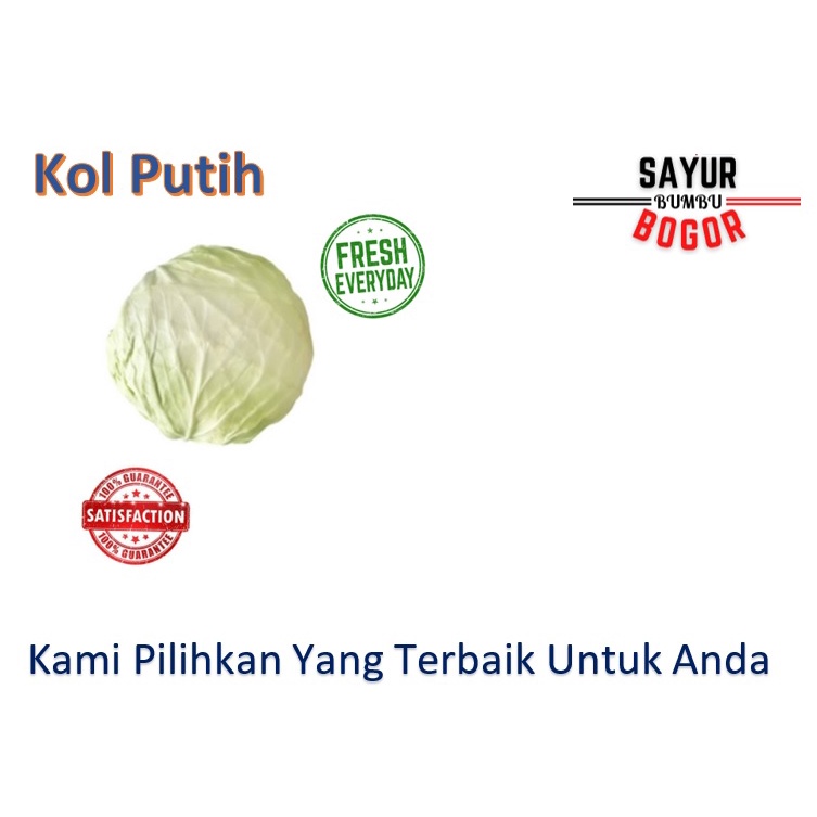 

Kol Putih / Kol Segar / Sayur Kol