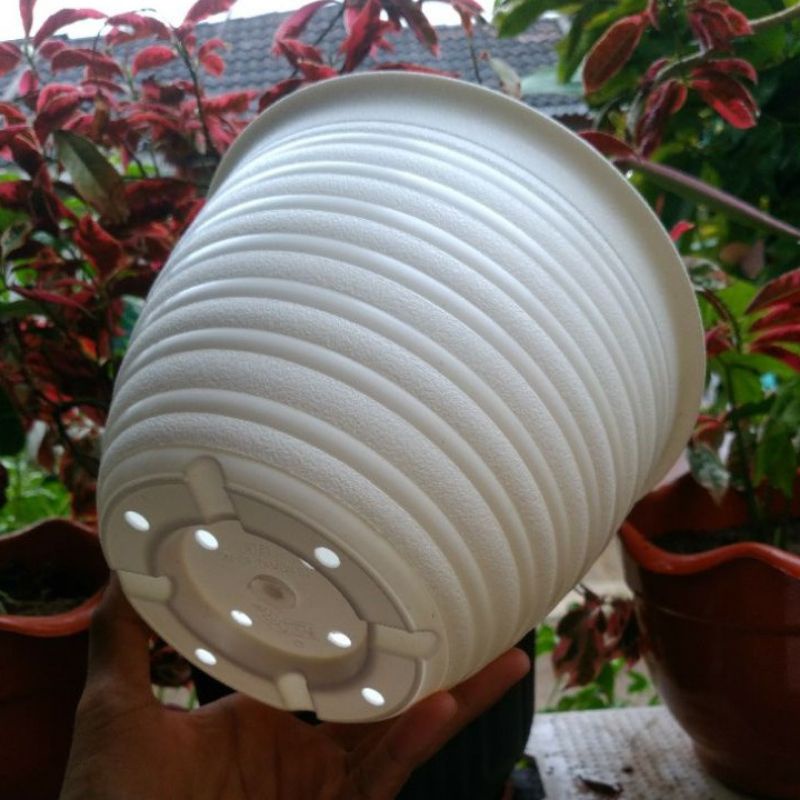 POT SUPER TAWON 21 PUTIH POT BUNGA TANAMAN HIAS