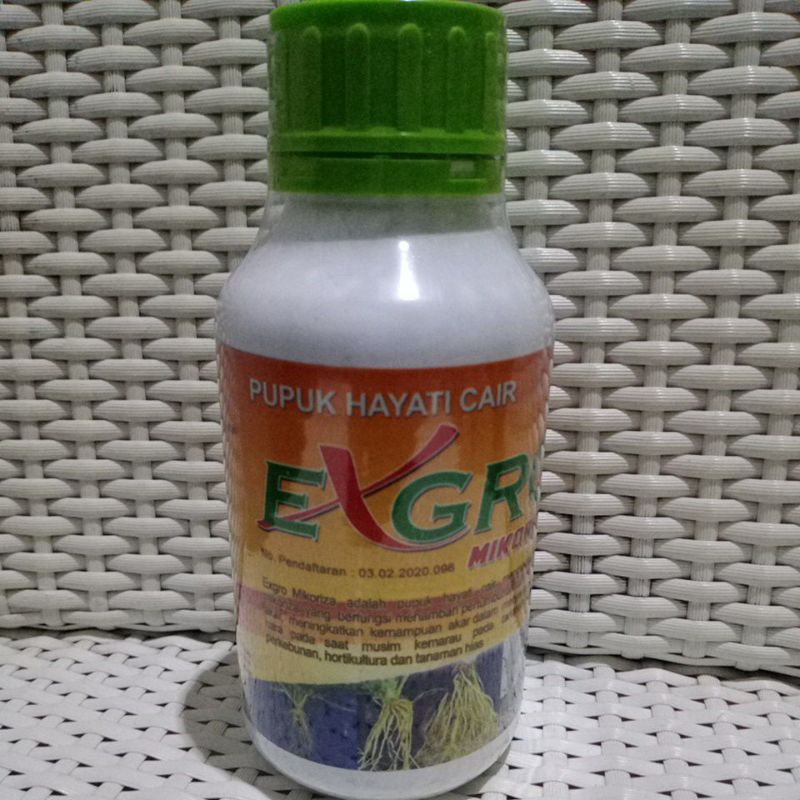 pupuk hayati exgro