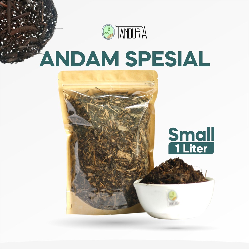 ANDAM SPECIAL 1 LITTER