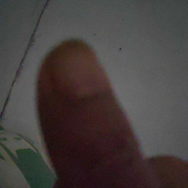 Lunch Box Yooyee 578 Kotak Bekal 4 Sekat Anti Tumpah