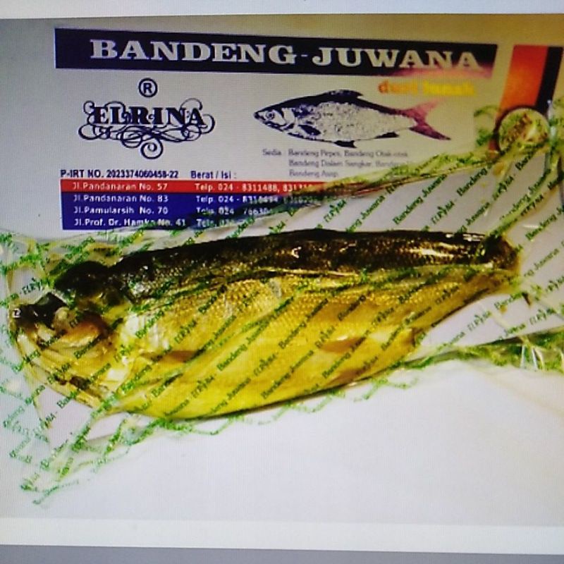 

bandeng vacuum basah 0,5kg (ketahanana 5hari)