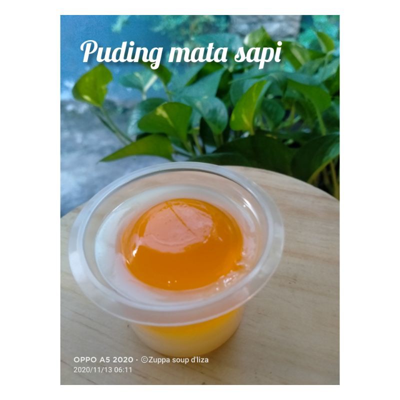 

PUDING MATA SAPI