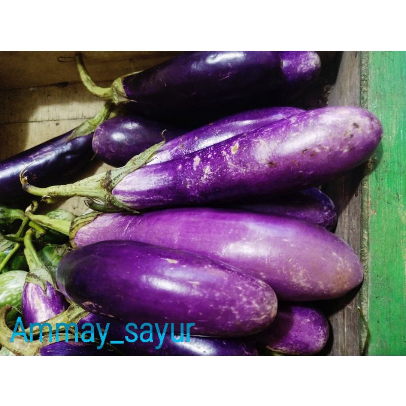 

terong ungu 500g/Ammay_sayur