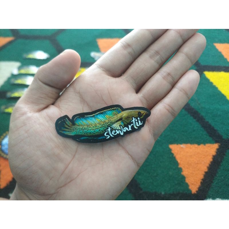 Stiker Channa Stewartii