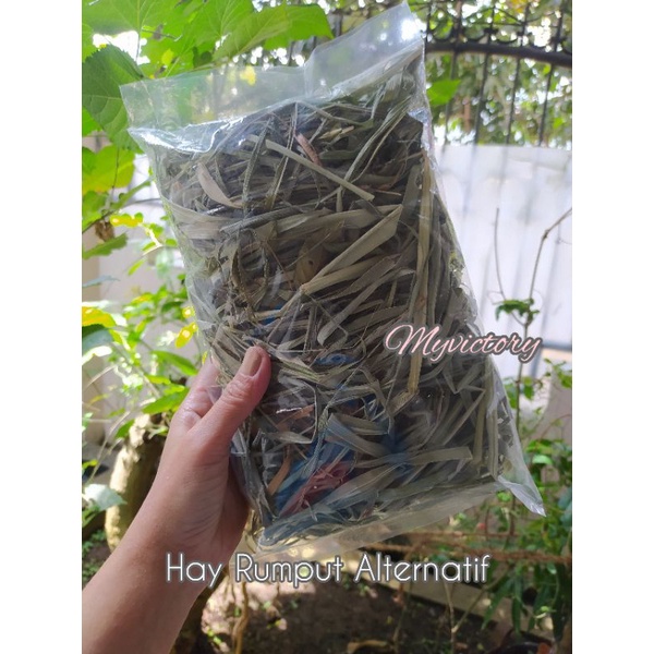 Hay rumput kering odot kelinci hamster fresh