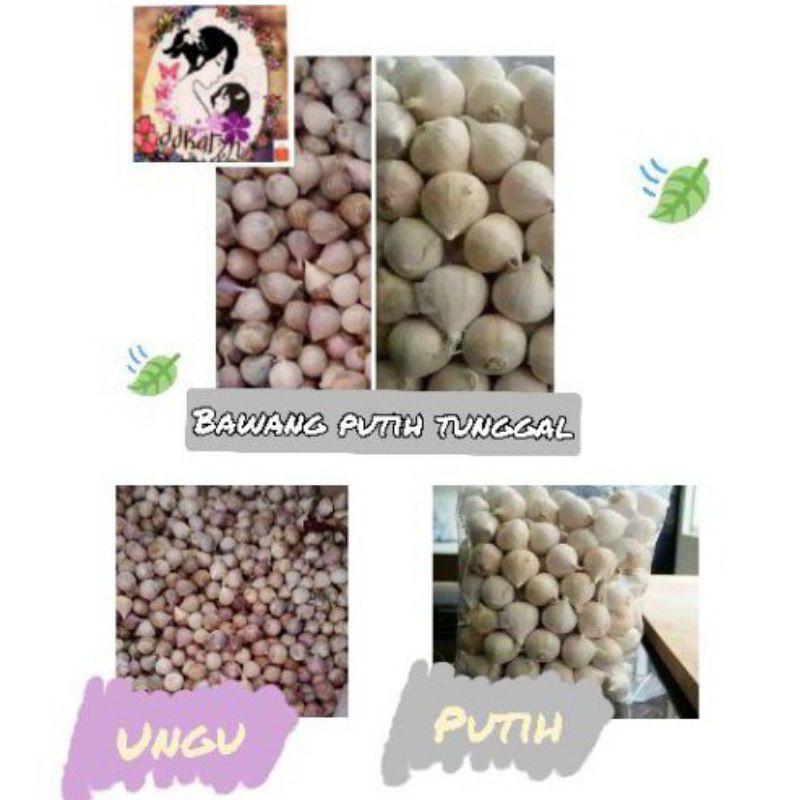 

1/2kg Bawang Lanang| Bawang putih tunggal Import