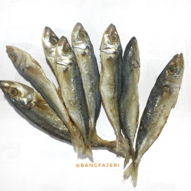 

Ikan Asin Layang Lajang Lajangan Mirip Peda dan Belanak