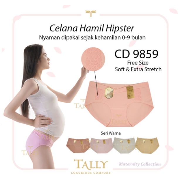 CD HAMIL Model Mini Tally 9859