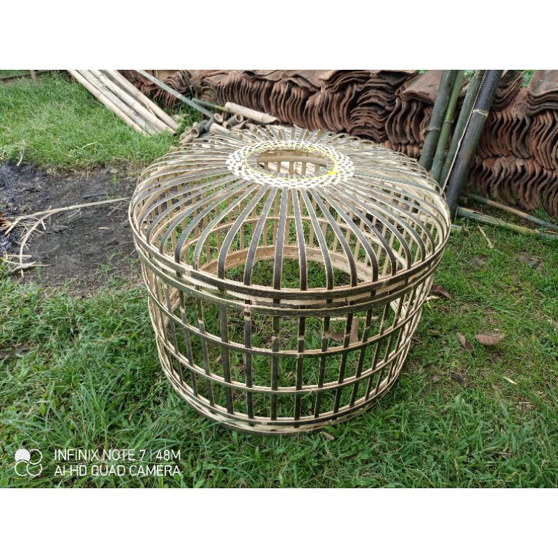 kurungan Ayam Jago Medium