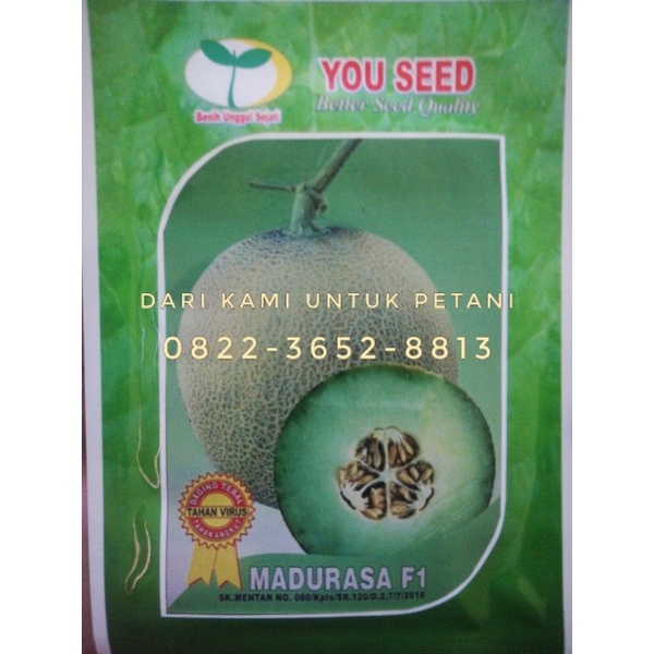 Benih Melon Madurasa F1 Tahan Virus