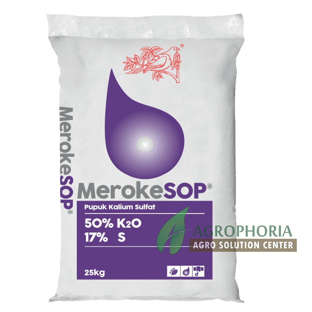 Pupuk Meroke SOP (Kalium Sulfat)