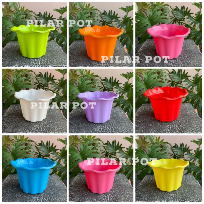 Pot bunga tanaman warna warni nkt sakura 20cm model mawar - nkt sakura