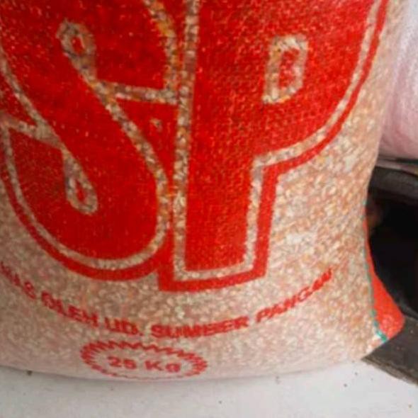 JAGUNG KRISTAL JAGUNG BURUNG DARA MERPATI