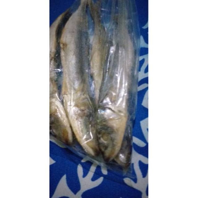 

Ikan asin grosir,menjual bermacem macem ikan asin tembang,pedak,japu layang,usam/gesek,dll.