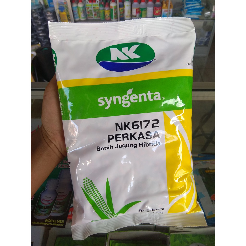 Jual Benih Jagung NK Perkasa 1 Kg | Shopee Indonesia