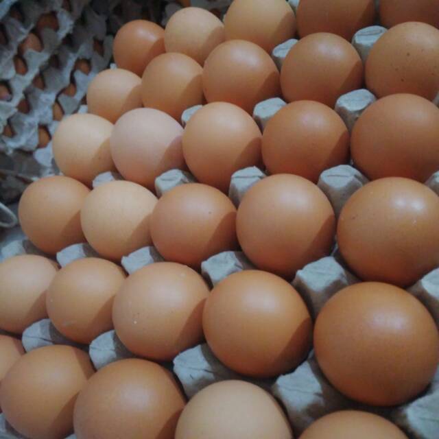 

Telur ayam negeri 1 kg (15-17 butir). Segar & Fresh. MURAH ..!!