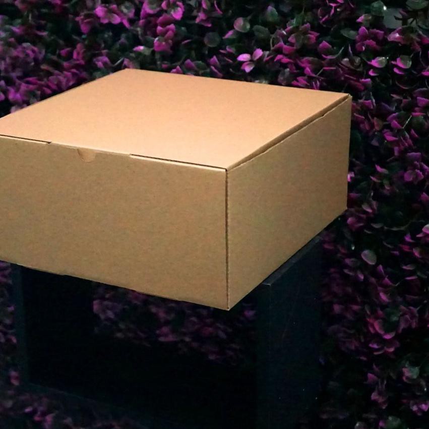 

YU7❋ Kotak Packaging Polos Tinggi 25 x 25 x 12 cm - Pizza Box - Bentuk Kotak Paling Laris