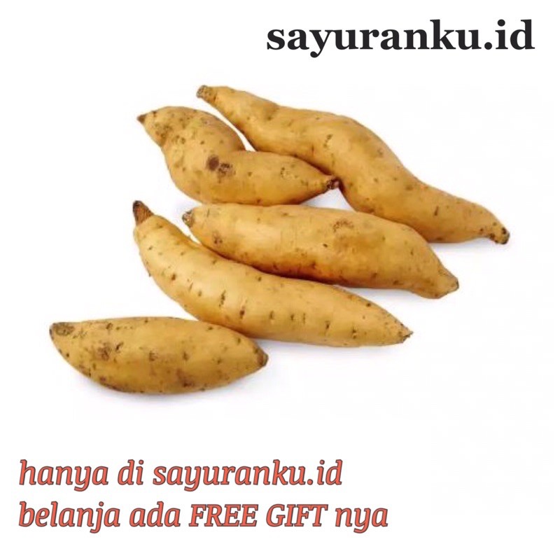 

ubi cilembu/ ubi madu/ umbi 1 kg sayur segar sayuran fresh pasar murah pasar jakarta