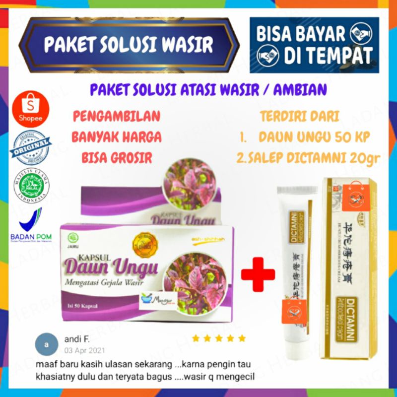 Paket Obat Wasir Ambeien Hemoroid DAUN UNGU DAN SALEP DICTAMNI Asli Original