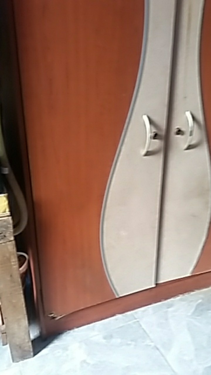 Cream Wings Biru 1/4 200gr