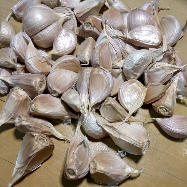 

Bawang putih asli brebes