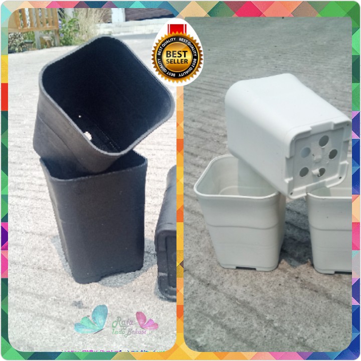 POT KOTAK KECIL SOFI 8 CM PUTIH HITAM POT CACTUS KATUS POT KOTAK KECIL SOFI 8 CM PUTIH HITAM POT CACTUS KATUS