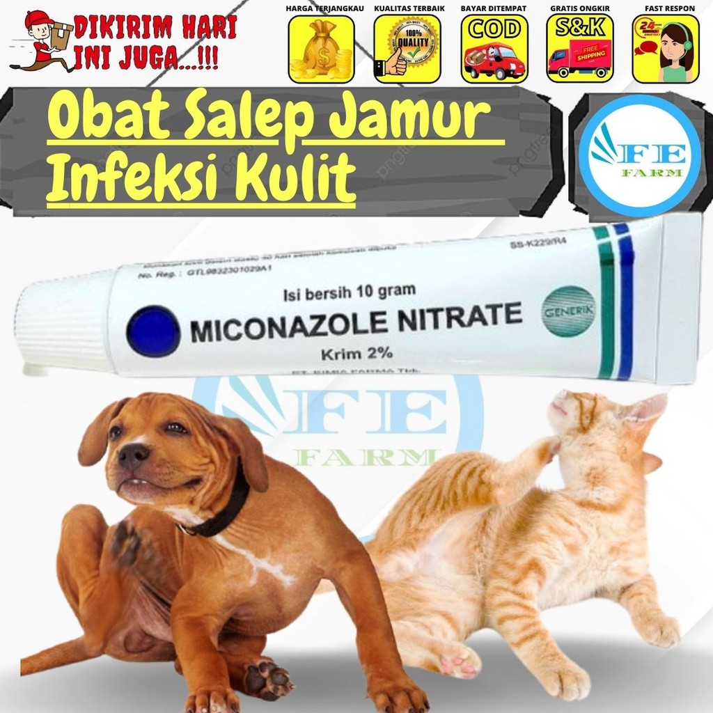 Obat Scabies Jamur dan Infeksi Iritasi Kulit Kucing Anjing Kelinci FEFARM