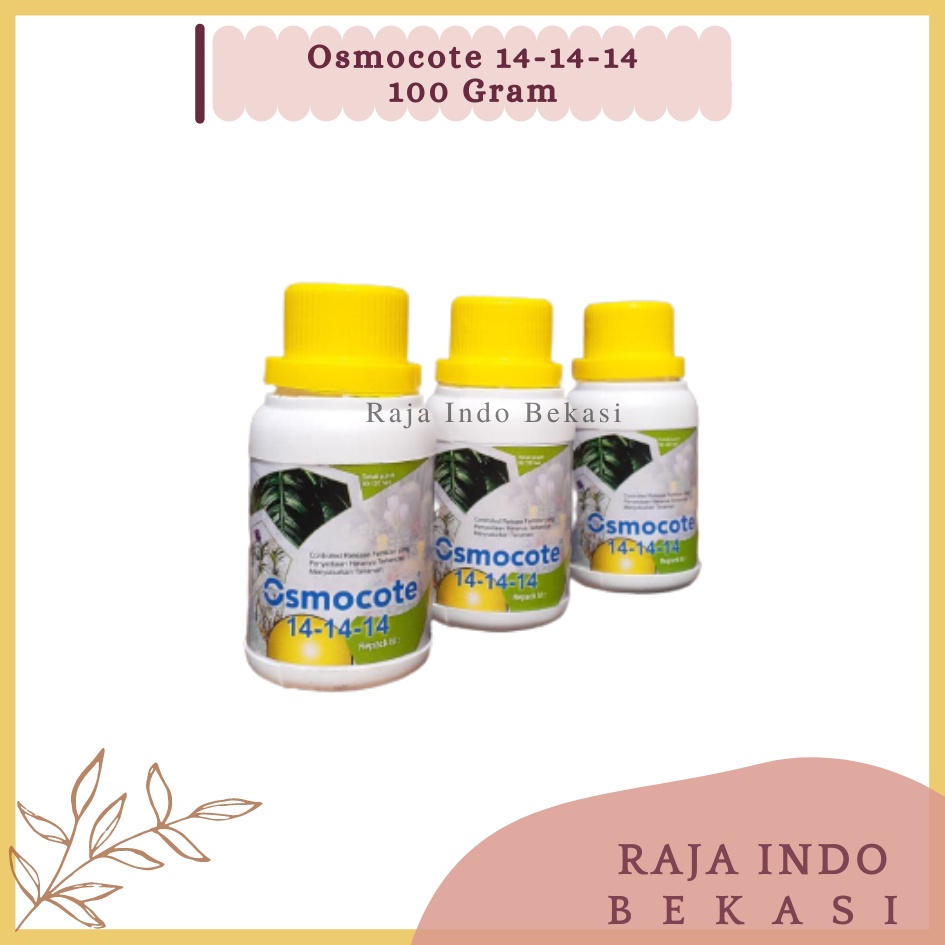 RAJAINDOBEKASI ORI Dekastar Osmocote 14-14-14 Pupuk Slow Release Pertumbuhan Daun Seimbang Osmocote 141414 Bukan Dekastar 17-11-10 Dekastar 6-13-25 Dekastar 13-13-13 100 Gram