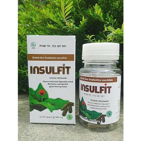 INSULFIT 40 KAPSUL EKSTRAK DAUN INSULIN ALAMI KONTROL GULA DARAH