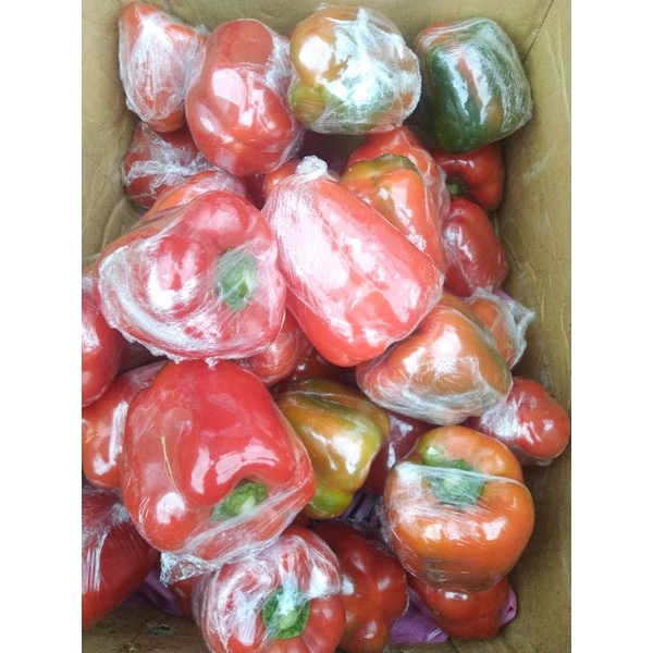 

paprika merah segar - 500gram