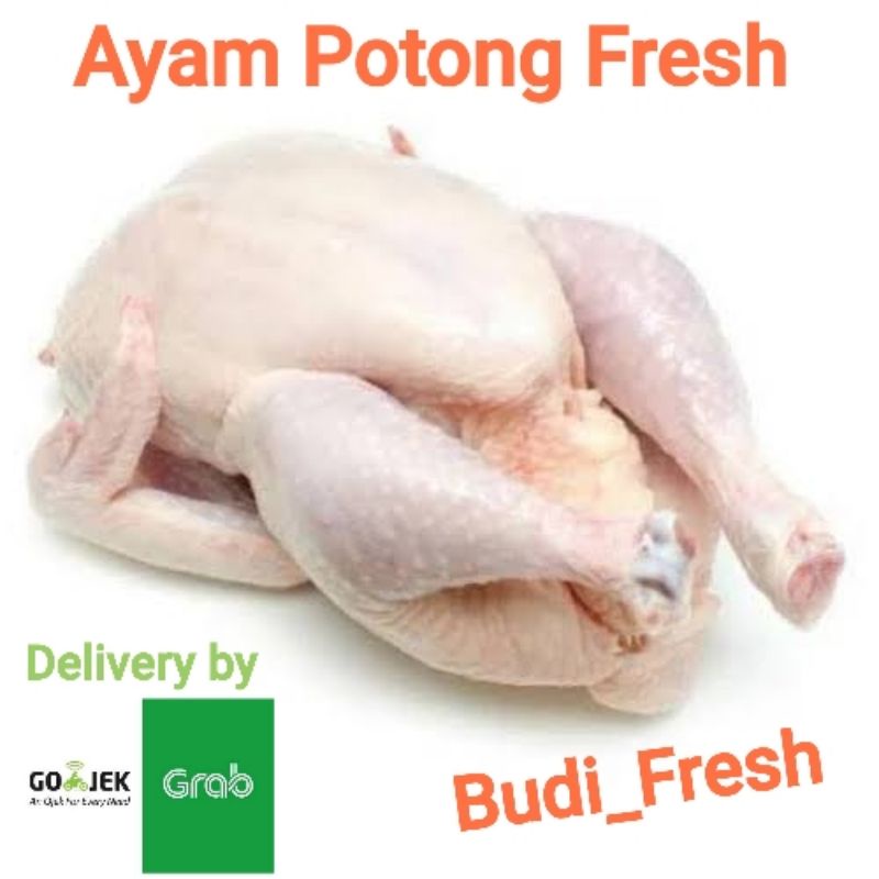 

Ayam Potong Fresh + Ati Ampela + Kepala Ceker (Potong,4,8,10,12)