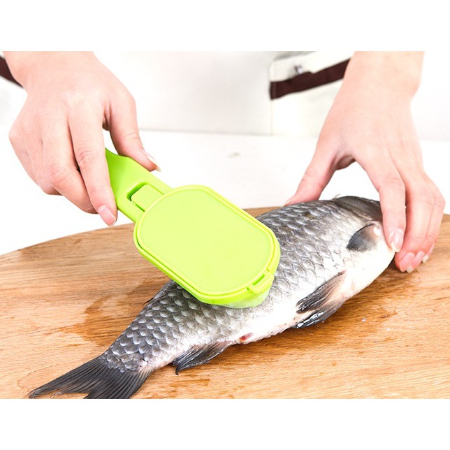 GROSIR Pembersih sisik ikan Shopee Indonesia GROSIR Pembersih sisik ikan Shopee Indonesia