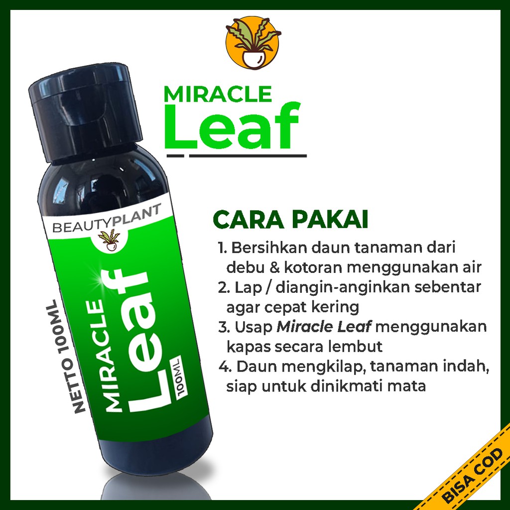 Pengkilap Daun Tanaman Hias Kilap Daun Organik Semir Daun Organic Leafshine Aglonema Monstera 100ML